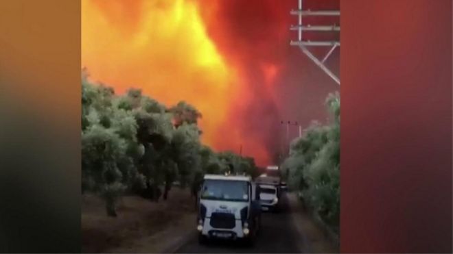 Tourists and local residents have been evacuated in Bodrum and Marmaris, as wildfires raged.