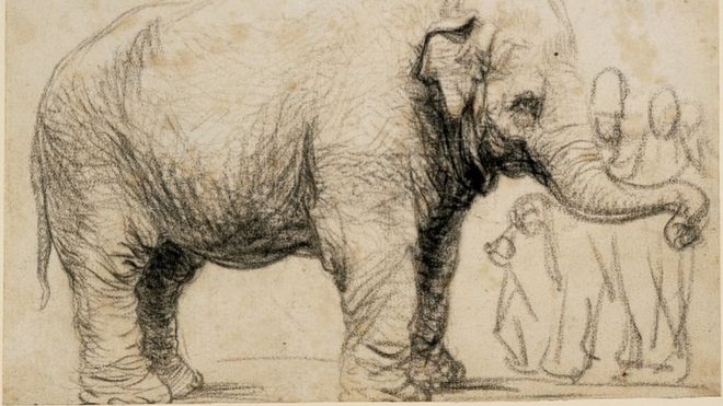 Азиатский слон Рембрандта, ок 1637, черный мел и уголь