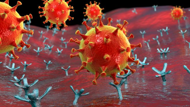 Ilustración de un coronavirus uniéndose a receptores en las células humanas