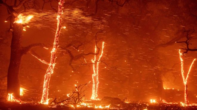 Embers fly as wind and flames from the Camp fire tear through Paradise, California