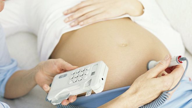 Здоровье этих пересаженных маток будет оцениваться во время любых беременностей