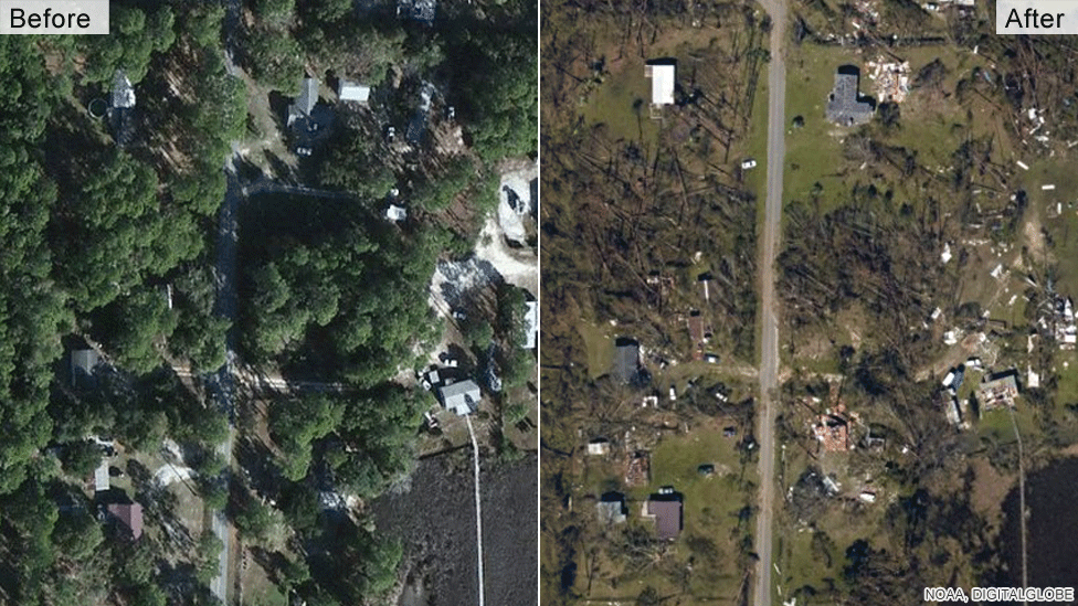 تصاویر قبل و بعد این منطقه نشان می‌دهد که چه طور درختان تنومند چون "خلال دندان" عریان به زمین افتاده‌اند