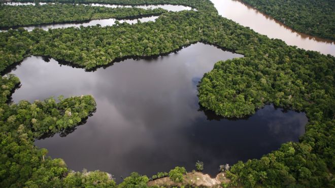 Amazonía