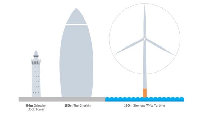 график, показывающий сравнительную высоту дока Гримсби, корнишона и ветротурбины
