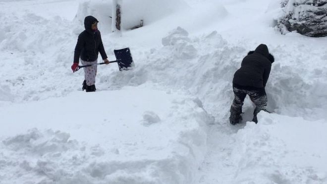 Люди выкапывают дорогу у своего дома после снегопада в Эри, штат Пенсильвания. Фото: 26 декабря 2017 г.