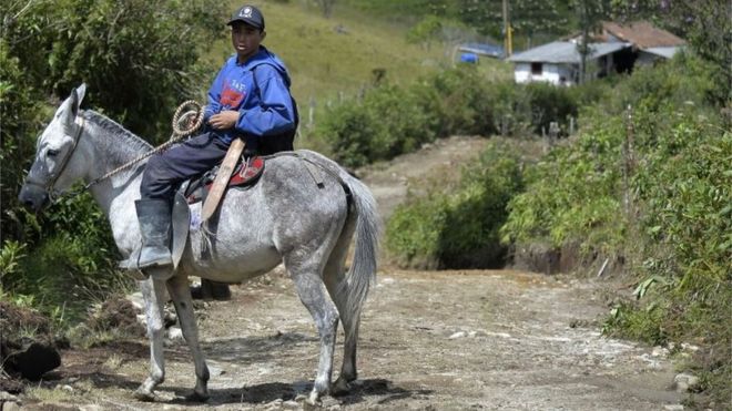 Мужчина едет на лошади в Ла Хонда, муниципалитет Кармен де Виборал, департамент Антиокия, Колумбия, 28 августа 2015 года