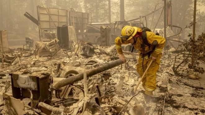 Un bombero examiando un árbol en California, el 12 de septiembre de 2020.