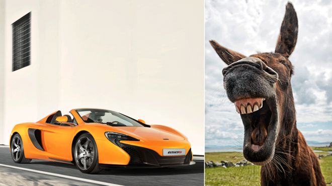 McClaren Spider sports car and donkey (file images)