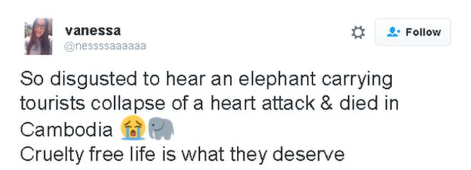 Tweet: Так противно слышать, как слон, несущий туристов, падает и умирает от сердечного приступа в Камбодже [sadface emoji] [elephant emoji] Жизнь без жестокости - это то, чего они заслуживают