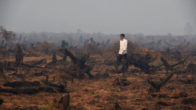 Мужчина и ребенок идут мимо горящих лесов