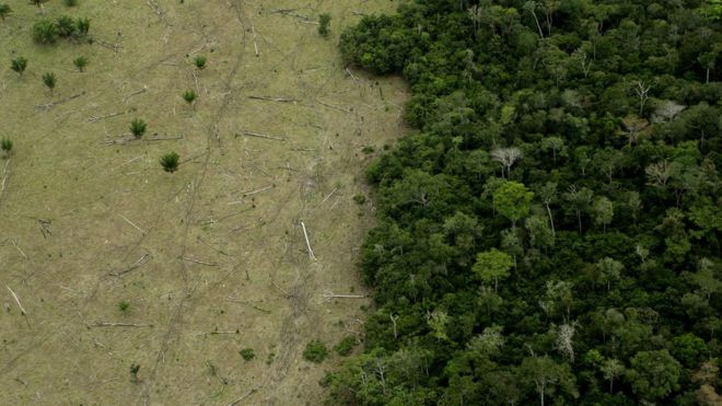 Desmatamento na Amazônia