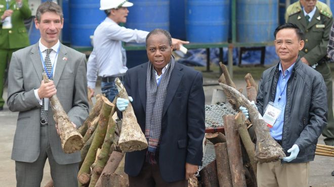 Đại sứ Giles Lever tham dự buổi tiến hành tiêu hủy trên 2 tấn ngà voi, 70 kg sừng tê giác ở Hà Nội tháng 11/2016