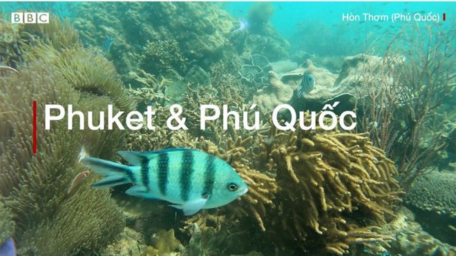 Phuket và Phú Quốc
