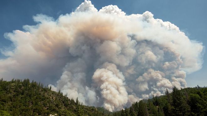 A large pyrocumulus cloud hangs above forest near Redding, California during the Carr fire in 2018