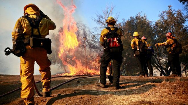 Пожарные сражаются с огнем 10 ноября 2018 года в Малибу, штат Калифорния