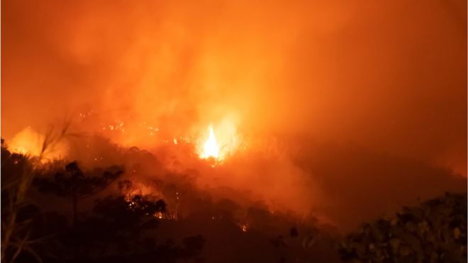 Incêndio em floresta amazônic