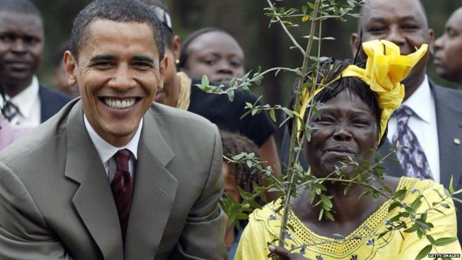 Американский сенатор от штата Иллинойс Барак Обама (слева) 28 августа 2006 года с Нобелевской премией 2005 года Вангари Матхай (справа) сажает дерево во время церемонии в Найроби, Кения