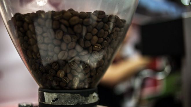 அழிவின் விளிம்பில் இருக்கிறதா காபி?