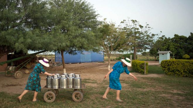 Mulheres menonitas transportando leite