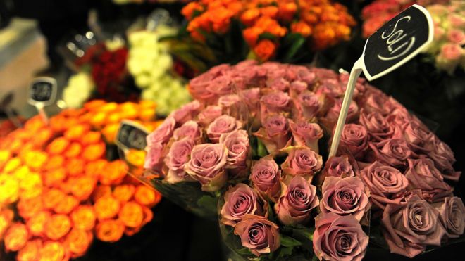 Roses on a stand at a flower trade show in the Kenyan capital Nairobi.