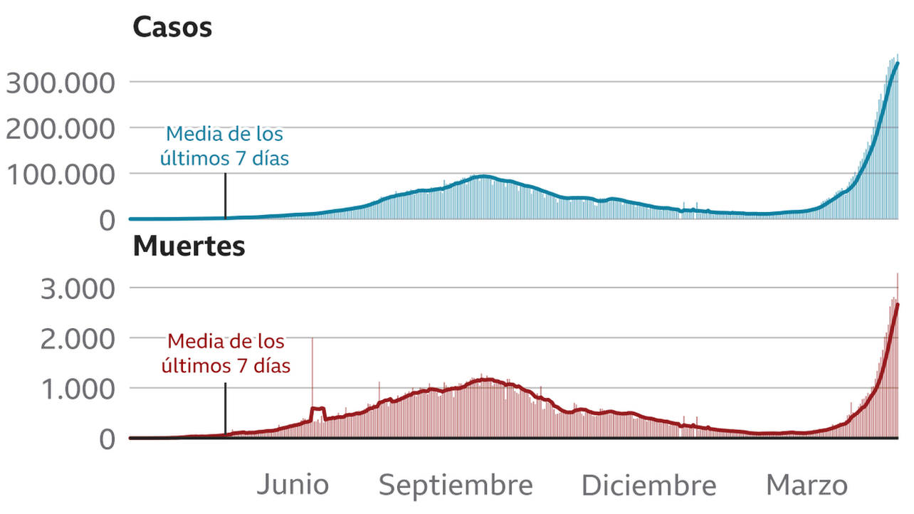 Número de casos y muertes