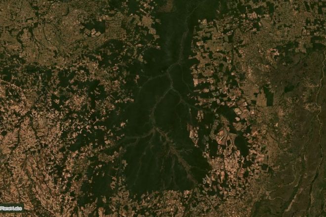 Bacia do rio Xingu