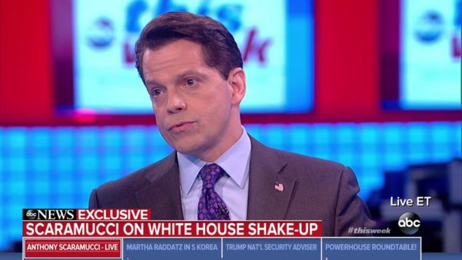 https://ichef.bbci.co.uk/news/660/cpsprodpb/117ED/production/_97316617_themooch.jpg