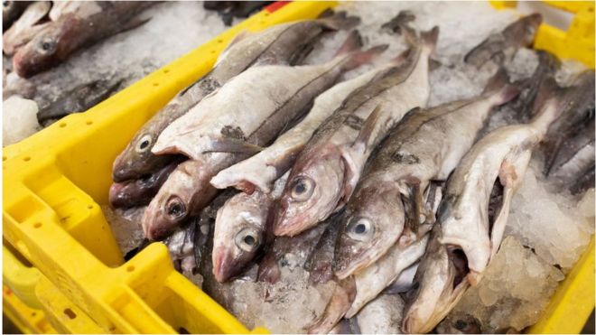 Поддон с рыбой на рыбном рынке Гримсби