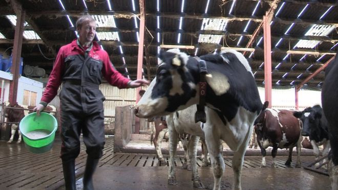 A small number of dairy farmers in Northern Ireland have begun selling ...