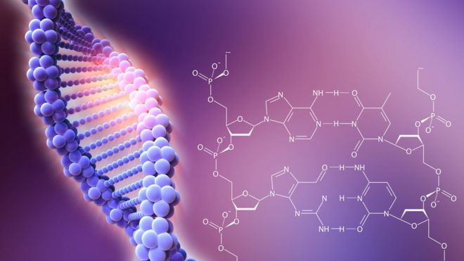 Resultat d'imatges de genetica