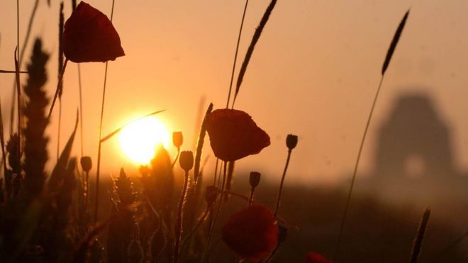 Солнце поднимается над маками в поле рядом с мемориальным памятником Тиепваля на севере Франции, который ознаменовывает битву на Сомме.