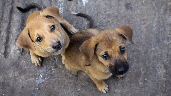 சூர்யா.ப.க., சென்னை