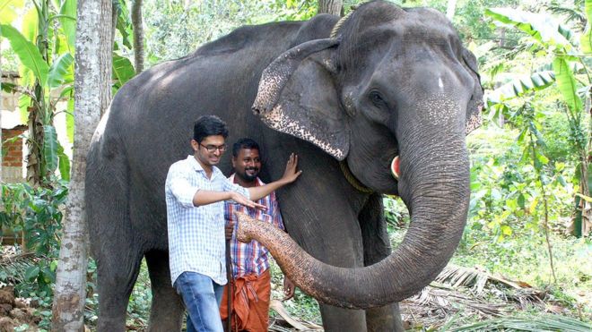 Дакшаяни, слон, который умер в феврале 2019 года в возрасте 88 лет
