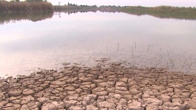 يواجه العراق شحا في المياه بسبب انخفاض نسبة الأمطار خلال العام الماضي في البلاد، إضافة إلى عدة عوامل أخرى من بينها أساليب الري التي تؤدي إلى هدر المياه.