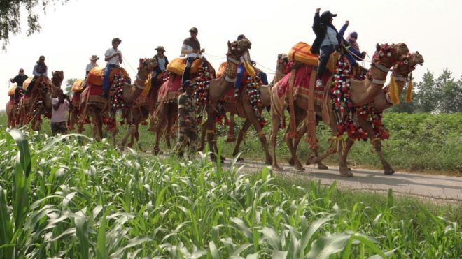 பாகிஸ்தான் எல்லையோர கிராமங்களின் வழியாக நூற்றுக்கணக்கான ஒட்டகங்களில் பெண்கள் சவாரி செய்தபடி ஊர்வலம் வருகின்றனர்.
