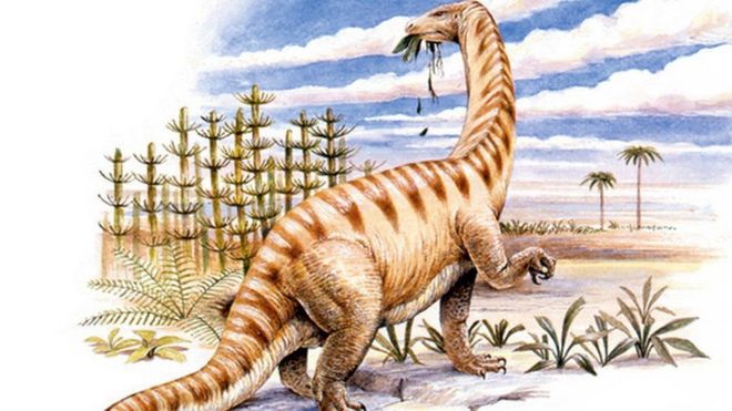 Lufengosaurus, dinosaurus