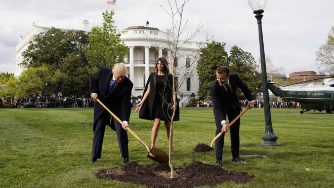 Президент Трамп и Макрон сажают дерево, а Мелания Трамп смотрит на