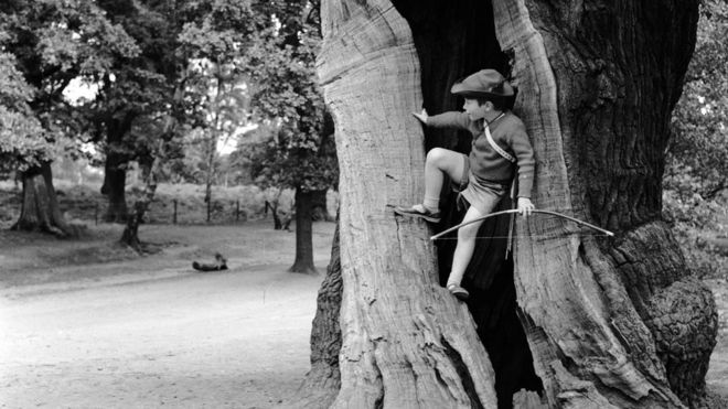 Мальчик одет как Робин Гуд в Шервудском лесу