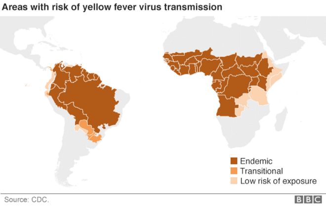 Карта с указанием областей риска желтой лихорадки