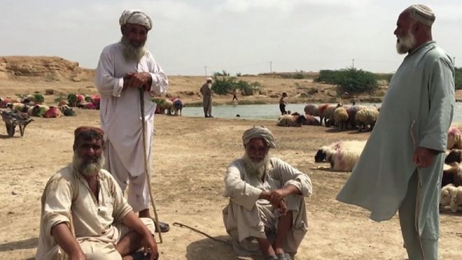 افغان بیوپاری