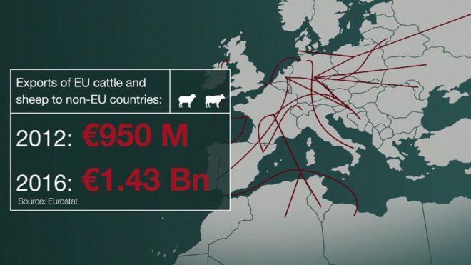 График, показывающий увеличение экспорта крупного рогатого скота и овец в ЕС в страны, не входящие в ЕС