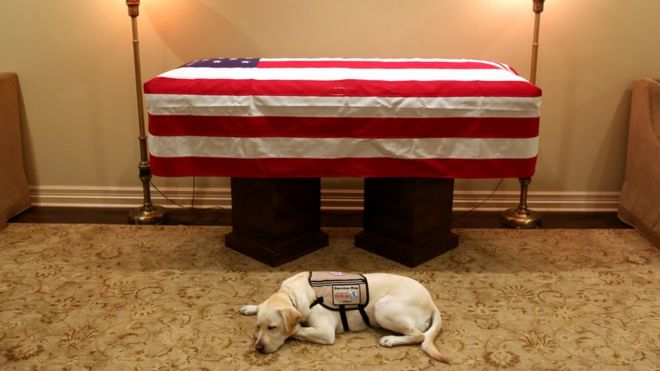 O cão Sully se deitou ao lado do caixão do ex-presidente americano George H.W. Bush, que morreu neste fim de semana aos 94 anos
