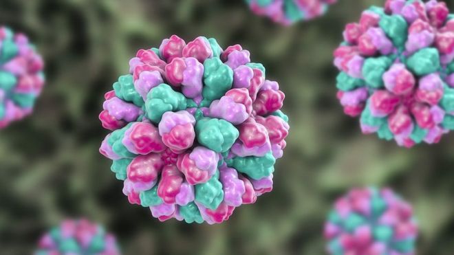 Imagen en 3D creada por computación de norovirus