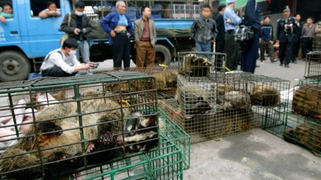 Правительственные чиновники изымают циветт на рынке дикой природы Синьюань в Гуанчжоу, чтобы предотвратить распространение болезни Сарс в 2004 году