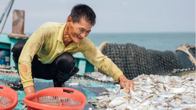 MyFishman - это служба доставки и подписки на свежие морепродукты в Малайзии.