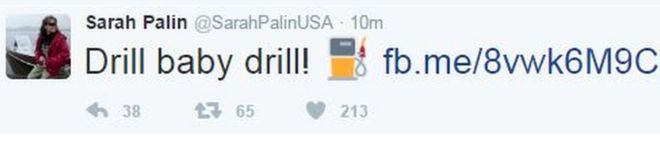 Бывшая кандидатура в вице-президенты Сара Пэйлин написала в Твиттере одну из своих фраз из кампании 2008 года