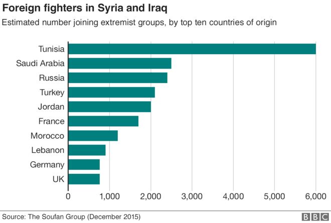 Диаграмма, показывающая количество иностранных боевиков в Ираке и Сирии