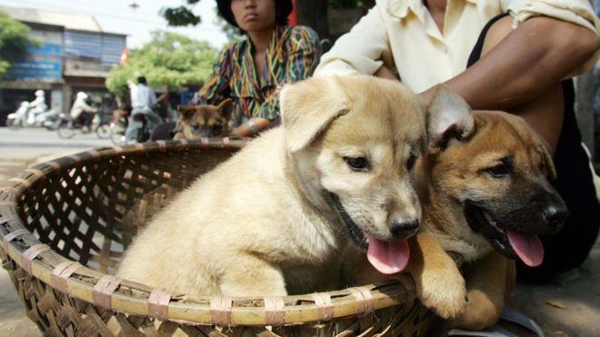 Two women sit selling young dogs at a roadside in downtown Hanoi 11 October 2005