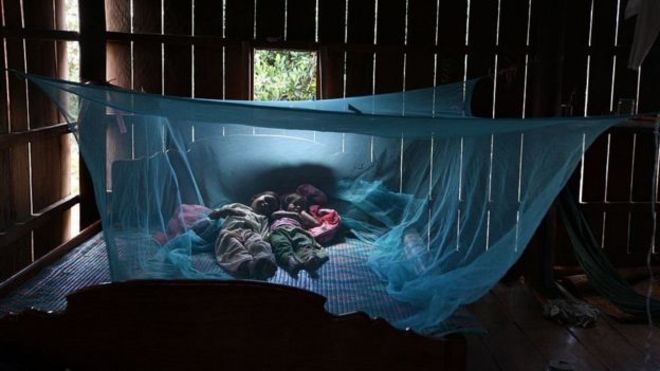 Les moustiquaires ont contribué à réduire le nombre de personnes infectées par la malaria dans le monde