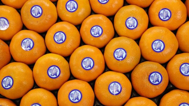 Знаете ли вы, откуда ваши апельсины путешествовали?